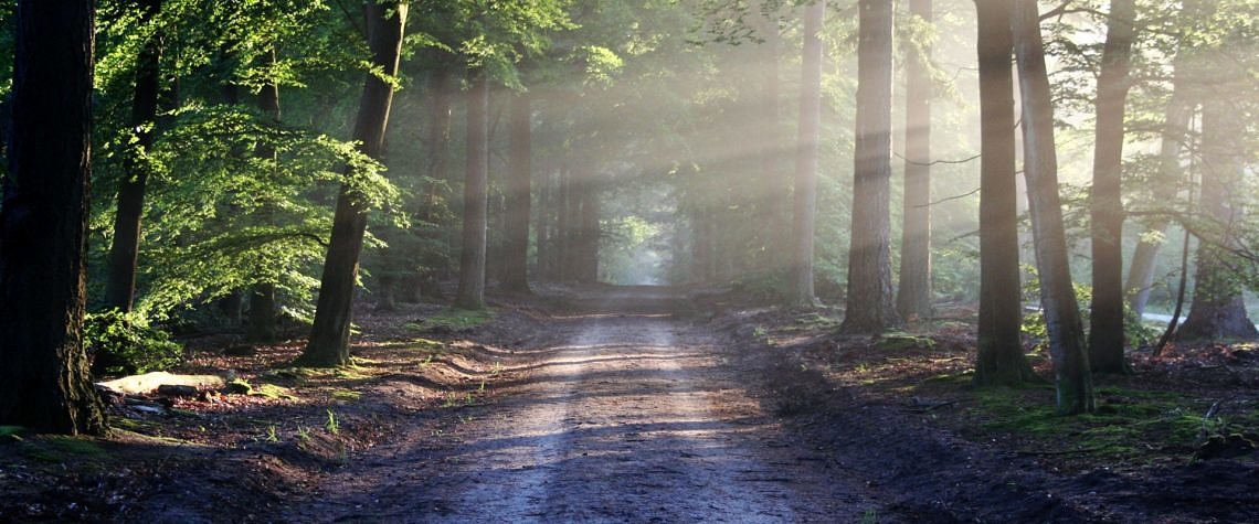 Road sun rays path