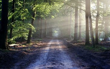 Road sun rays path