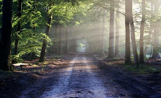 Road sun rays path